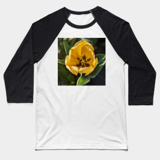 Yellow Tulip Center Baseball T-Shirt